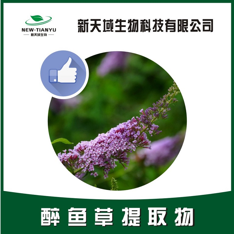 醉鱼草提取物 优质植物提取物 欢迎选购价格 3000元/元/公斤 厂家