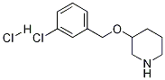 3-(3-氯-苄氧基)-哌啶盐酸盐 结构式