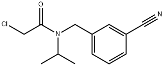 2-Chloro-N-(3-cyano-benzyl)-N-isopropyl-acetaMide 结构式