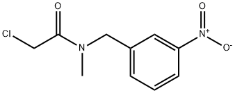 2-Chloro-N-Methyl-N-(3-nitro-benzyl)-acetaMide 结构式