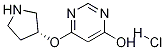 6-((R)-吡咯烷-3-基氧基)-嘧啶-4-醇盐酸盐 结构式
