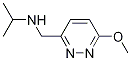 N-((6-甲氧基哒嗪-3-基)甲基)丙烷-2-胺 结构式