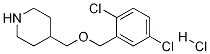 4-(2,5-二氯-苄氧基甲基)-哌啶盐酸盐 结构式