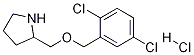 2-(2,5-二氯-苄氧基甲基)-吡咯烷盐酸盐 结构式