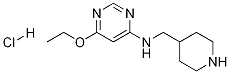 (6-乙氧基-嘧啶-4-基)-哌啶-4-基甲基-胺盐酸盐 结构式