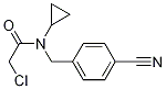 2-Chloro-N-(4-cyano-benzyl)-N-cyclopropyl-acetaMide 结构式