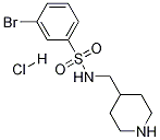 3-溴-N-哌啶-4-基甲基-苯磺酰胺盐酸盐 结构式