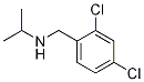 (2,4-Dichloro-benzyl)-isopropyl-aMine 结构式