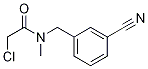 2-Chloro-N-(3-cyano-benzyl)-N-Methyl-acetaMide 结构式