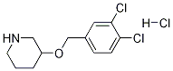 3-(3,4-二氯-苄氧基)-哌啶盐酸盐 结构式