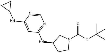 (R)-3-(6-环丙基氨基-嘧啶-4-基氨基)-吡咯烷-1-羧酸叔丁酯 结构式