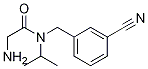 2-AMino-N-(3-cyano-benzyl)-N-isopropyl-acetaMide 结构式