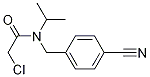 2-Chloro-N-(4-cyano-benzyl)-N-isopropyl-acetaMide 结构式