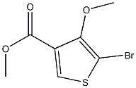 5-溴-4-甲氧基噻吩-3-甲酸甲酯 结构式