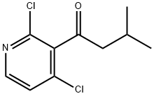 1-(2,4-dichloropyridin-3-yl)-3-Methylbutan-1-one 结构式