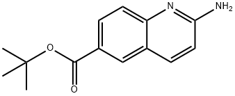 2-AMino-quinoline-6-carboxylic acid tert-butyl ester 结构式