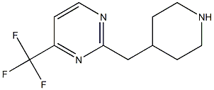 2-Piperidin-4-ylMethyl-4-trifluoroMethyl-pyriMidine 结构式