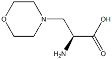 (S)-2-AMINO-3-MORPHOLINOPROPANOIC ACID 结构式