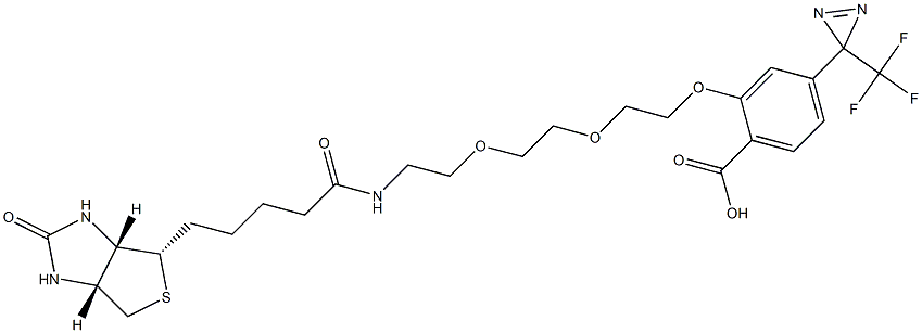 2-(2-(2-(2-(5-((3aS,4S,6aR)-2-oxohexahydro-1H-thieno[3,4-d]iMidazol-4-yl)pentanaMido)ethoxy)ethoxy)ethoxy)-4-(3-(trifluoroMethyl)-3H-diazirin-3-yl)benzoic acid 结构式