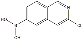 3-chloroisoquinolin-6-yl-6-boronic acid 结构式