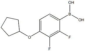 4-(Cyclopentyloxy)-2,3-difluorophenylboronic acid 结构式