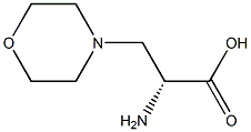 (R)-2-AMINO-3-MORPHOLINOPROPANOIC ACID 结构式