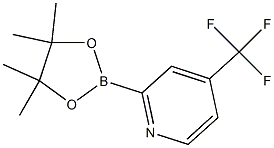 2-(4,4,5,5-TetraMethyl-[1,3,2]dioxaborolan-2-yl)-4-trifluoroMethyl-pyridine 结构式