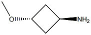 trans-3-MethoxycyclobutanaMine 结构式
