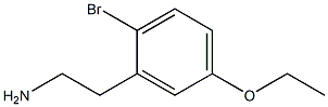 2-(2-broMo-5-ethoxyphenyl)ethanaMine 结构式