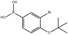 3-Bromo-4-t-butoxyphenylboronic acid 结构式