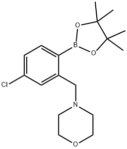 4-(5-氯-2-(4,4,5,5-四甲基-1,3,2-二氧硼杂环戊烷-2-基)苯基)吗啉 结构式