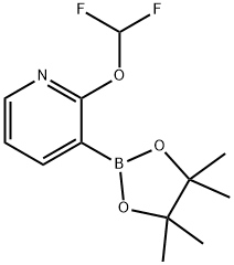 2-(二氟甲氧基)-3-(4,4,5,5-四甲基-1,3,2-二氧硼烷-2-基)吡啶 结构式