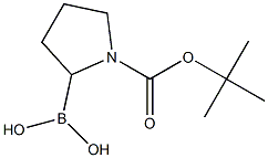 1-Boc-Pyrrolidine-2-boronic acid