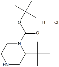 tert-butyl 2-tert-butylpiperazine-1-carboxylate hydrochloride 结构式