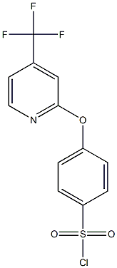 4-(4-三氟甲基-2-吡啶氧基)苯磺酰氯 结构式