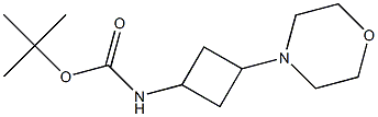 tert-butyl 3-MorpholinocyclobutylcarbaMate 结构式
