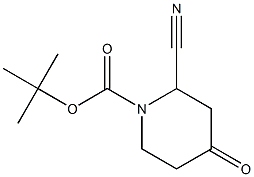 tert-butyl 2-cyano-4-oxopiperidine-1-carboxylate 结构式