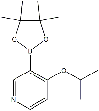 4-异丙氧基-3-吡啶硼酸片呐酯 结构式