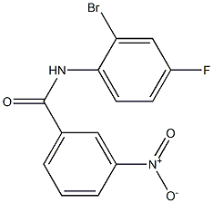 N-(2-溴-4-氟苯)-3-硝基苯甲酰胺,97% 结构式