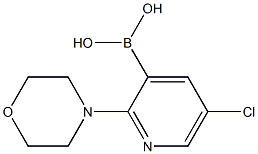 5-氯-2-(吗啉)吡啶-3-硼酸 结构式