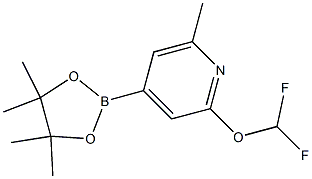 2-(difluoroMethoxy)-6-Methyl-4-(4,4,5,5-tetraMethyl-1,3,2-dioxaborolan-2-yl)pyridine 结构式