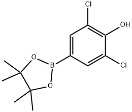 3,5-二氯-4-羟基苯硼酸频哪醇酯 结构式