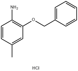 2-(BENZYLOXY)-4-METHYLANILINE HYDROCHLORIDE 结构式