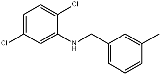 2,5-DICHLORO-N-(3-METHYLBENZYL)ANILINE 结构式