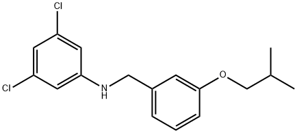 3,5-DICHLORO-N-(3-ISOBUTOXYBENZYL)ANILINE 结构式