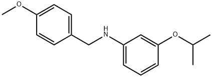 3-ISOPROPOXY-N-(4-METHOXYBENZYL)ANILINE 结构式