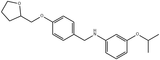 3-ISOPROPOXY-N-[4-(TETRAHYDRO-2-FURANYLMETHOXY)-BENZYL]ANILINE 结构式