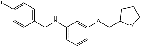 N-(4-Fluorobenzyl)-3-(tetrahydro-2-furanylmethoxy)aniline 结构式