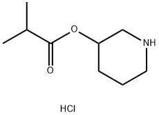 3-Piperidinyl 2-methylpropanoate hydrochloride 结构式