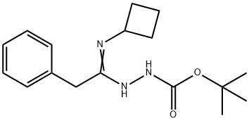 2-(1-(环丁基亚氨基)-2-苯乙基)肼-1-羧酸叔丁酯 结构式